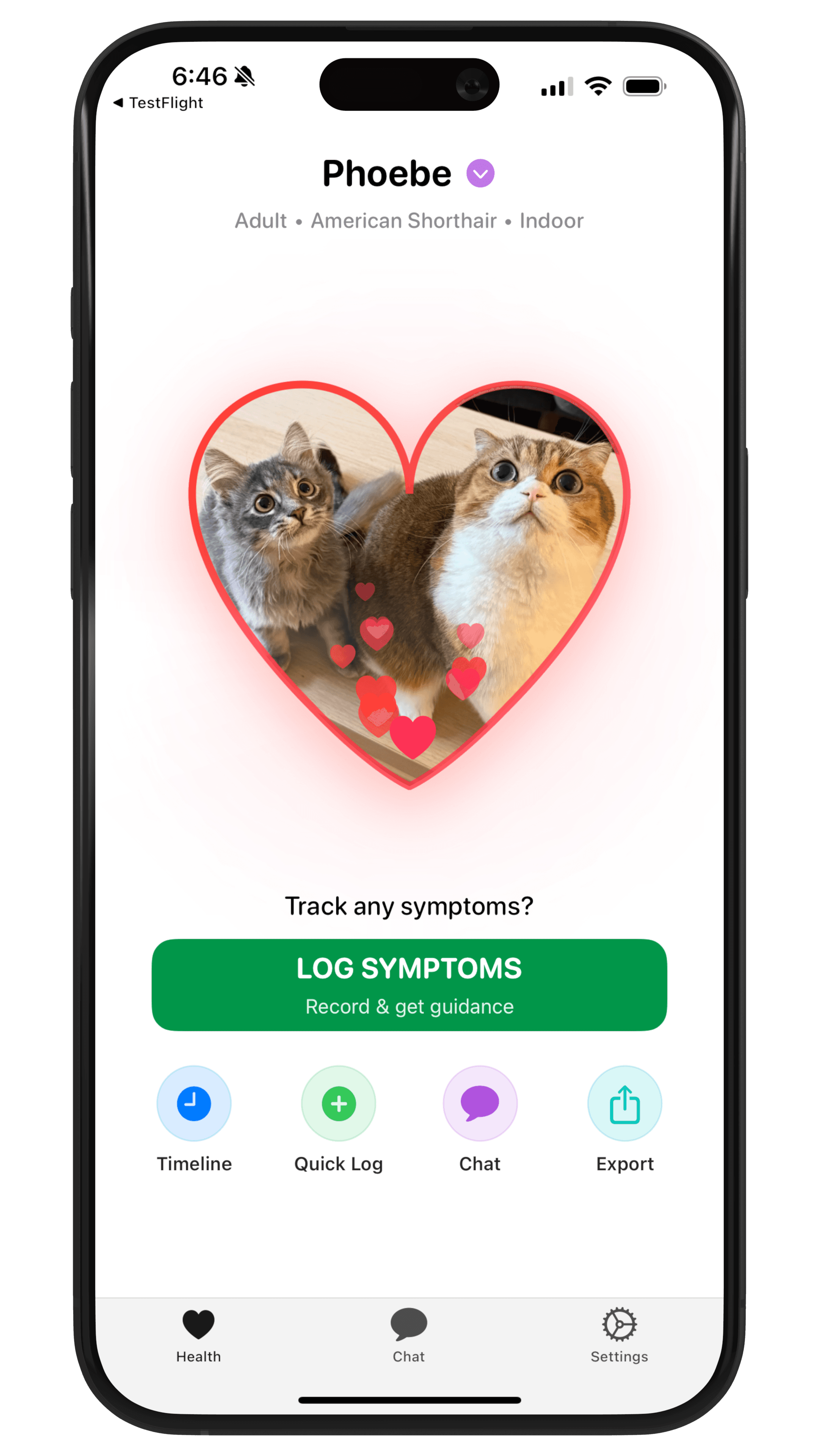 NineLives on iPhone